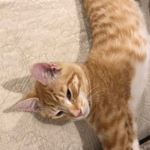 Meet your Posher, Kara